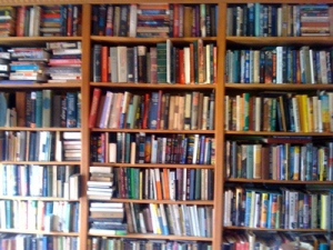 bookshelf-hill